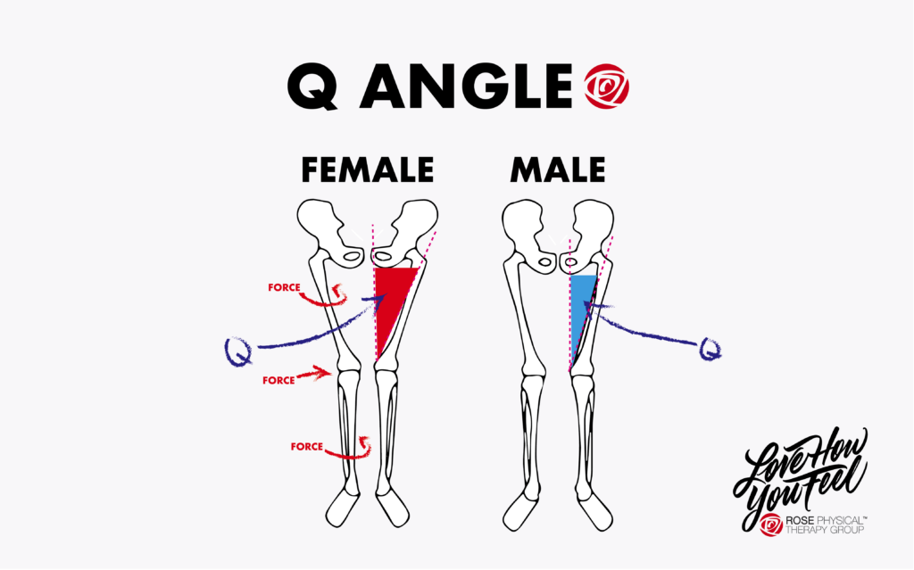 comparison of female and male leg structure